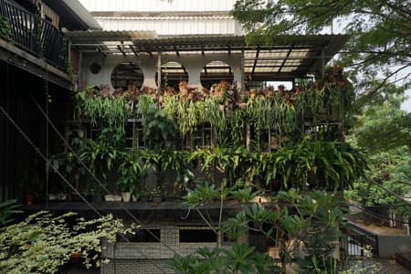 Kampoong Guha